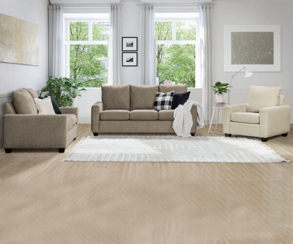 Dreamland Collection