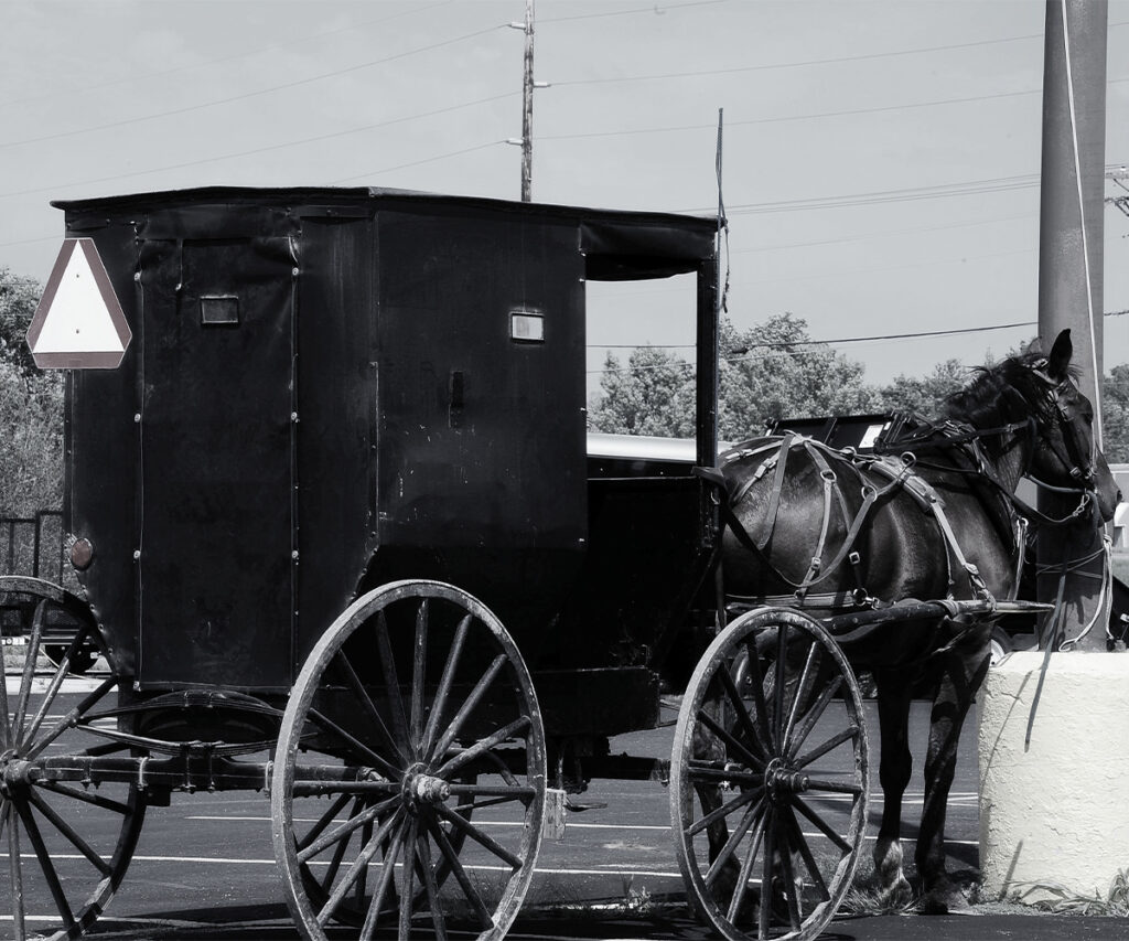 Williamsburg VA Amish furniture heritage—horse-drawn buggy representing tradition and craftsmanship.